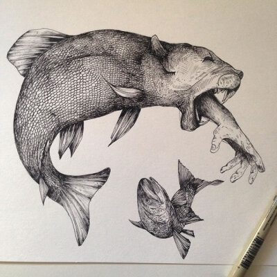 艺术家Alfred Basha的手绘插画