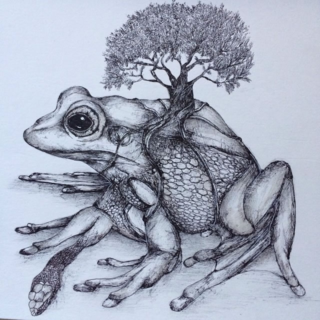 艺术家Alfred Basha的手绘插画