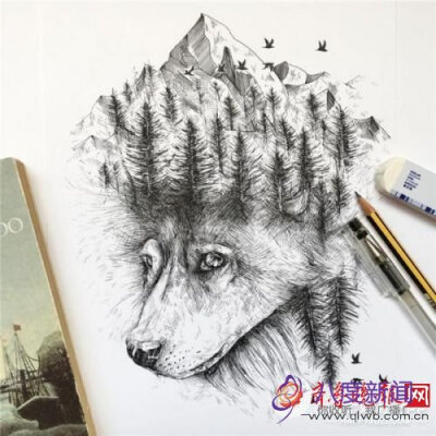 艺术家Alfred Basha的手绘插画