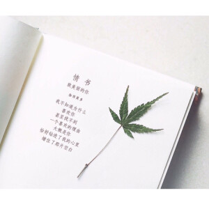 写给你的情书