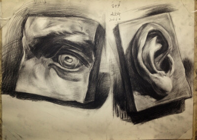 顾新小盆友的五官小摸鱼