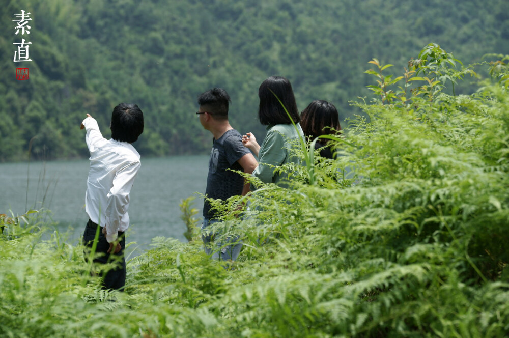 在那山的那边，水的那边，还有一群土蜂蜜，那是我们的蜂农在那里放置了蜂箱，小蜂蜜在那里安家落户，生活和劳作，远离人类的打扰。