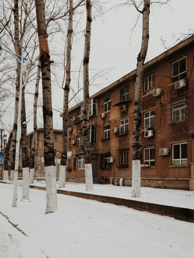 故乡大概算个小镇
红砖房 平房 野地农田 果园…
比之繁华都市
还是喜欢这里
by子期