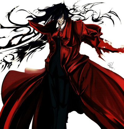 阿卡多 hellsing