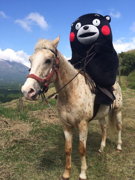 くまモン kumamon: