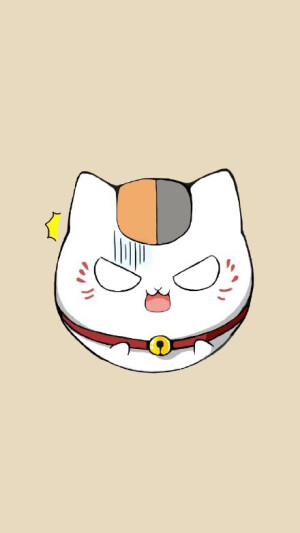 夏目友人帐    猫咪老师     夏目贵志    斑