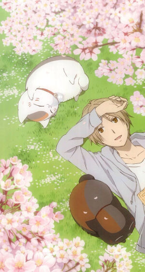 夏目友人帐    猫咪老师     夏目贵志    斑