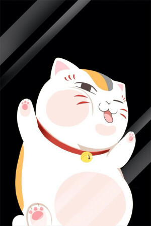 夏目友人帐    猫咪老师     夏目贵志    斑