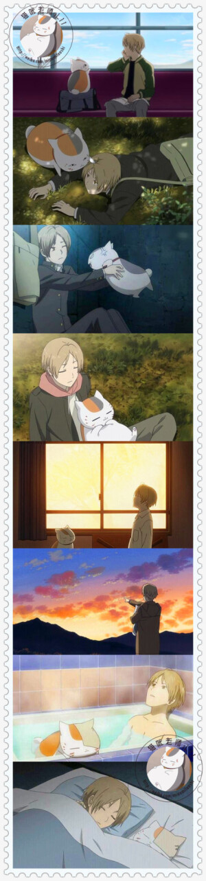 夏目友人帐    猫咪老师     夏目贵志    斑