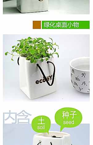 创意桌面绿植手提袋植栽