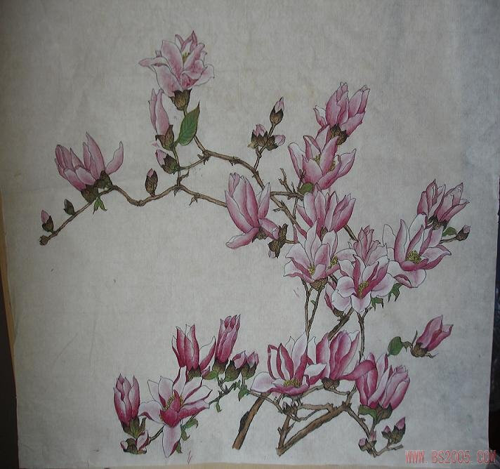 玉兰花（学名：Magnolia denudata），木兰科木兰属观赏树木。别名白玉兰、望春花、玉兰花，木兰科。是我国特有的名贵园林花木之一。玉兰花原产于长江流域，现在北京及黄河流域以南均有栽培，庐山、黄山、峨眉山等处尚有野生 古时多在亭、台、楼、阁前栽植。现多见于园林、厂矿中孤植，散植，或于道路两侧作行道树。北方也有作桩景盆栽。玉兰3月开花，6-7月果熟，花大型、芳香，先叶开放，花期10天左右。河南省夏邑县县花。