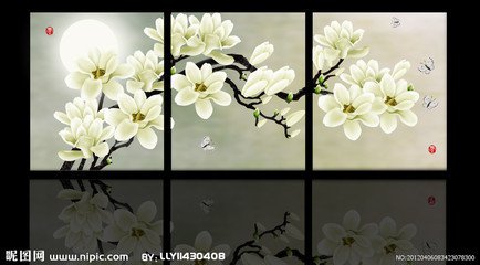 玉兰花（学名：Magnolia denudata），木兰科木兰属观赏树木。别名白玉兰、望春花、玉兰花，木兰科。是我国特有的名贵园林花木之一。玉兰花原产于长江流域，现在北京及黄河流域以南均有栽培，庐山、黄山、峨眉山等处尚有野生 古时多在亭、台、楼、阁前栽植。现多见于园林、厂矿中孤植，散植，或于道路两侧作行道树。北方也有作桩景盆栽。玉兰3月开花，6-7月果熟，花大型、芳香，先叶开放，花期10天左右。河南省夏邑县县花。