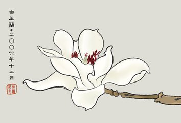 玉兰花（学名：Magnolia denudata），木兰科木兰属观赏树木。别名白玉兰、望春花、玉兰花，木兰科。是我国特有的名贵园林花木之一。玉兰花原产于长江流域，现在北京及黄河流域以南均有栽培，庐山、黄山、峨眉山等处尚有野生 古时多在亭、台、楼、阁前栽植。现多见于园林、厂矿中孤植，散植，或于道路两侧作行道树。北方也有作桩景盆栽。玉兰3月开花，6-7月果熟，花大型、芳香，先叶开放，花期10天左右。河南省夏邑县县花。