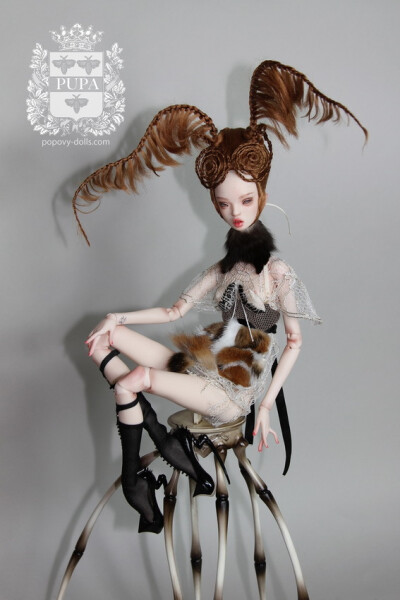 #bjd# popovy-dolls俩姐妹的人形，原来昆虫系列一定要装到标本框里，才能正真找到感觉