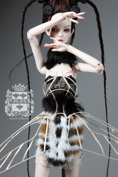 #bjd# popovy-dolls俩姐妹的人形，原来昆虫系列一定要装到标本框里，才能正真找到感觉