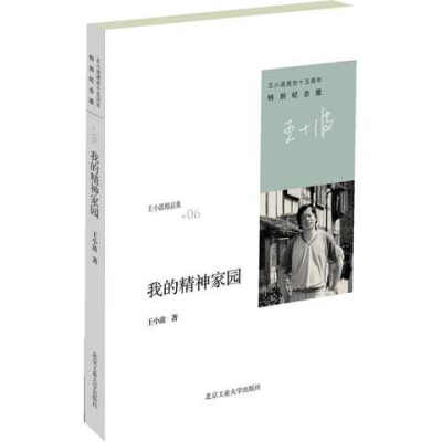 我的精神家园 王小波逝世十周年特别纪念版 随笔散文集 当代文学杂文集 原版小说 畅销书籍
