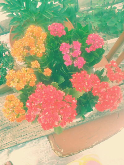 热恋如夏至日
珍贵又短暂
战线拉得越长就越危险
趁爱最满的时候
飞往他所在的城市
陪他度过最漫长白昼
觉得
有点浪漫
