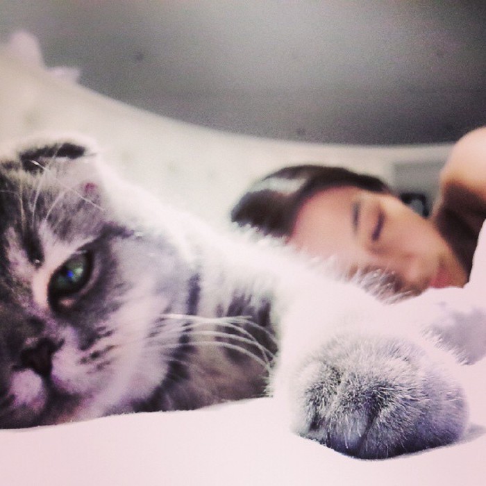 爱我还是爱猫。