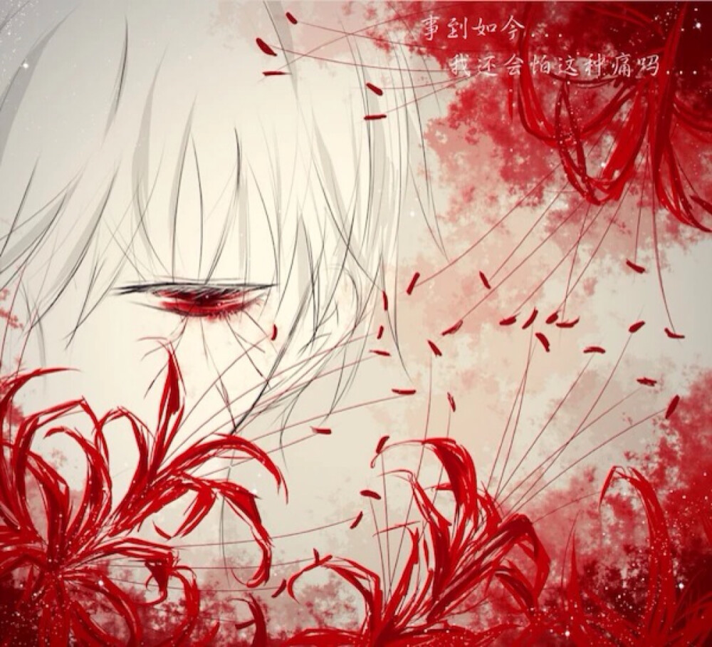 曼珠沙华是开在冥界的一种花,也叫彼岸花.