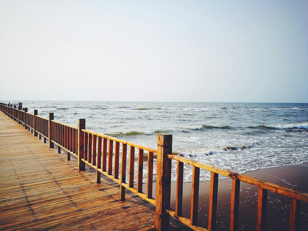 碧海青天夜夜心。