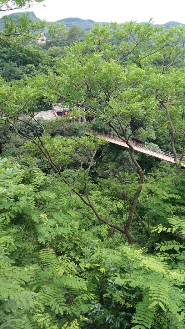 建水燕子洞大桥风景