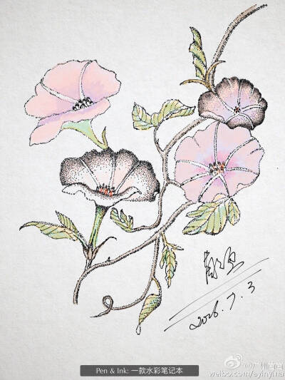 《数码钢笔点画》