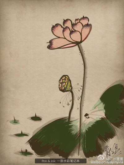 《数码水墨+钢笔点画》