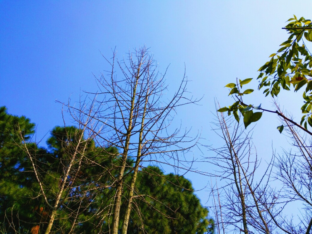 一个人的好天气