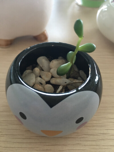 壬月总是喜欢对空调照镜子擦鞋子