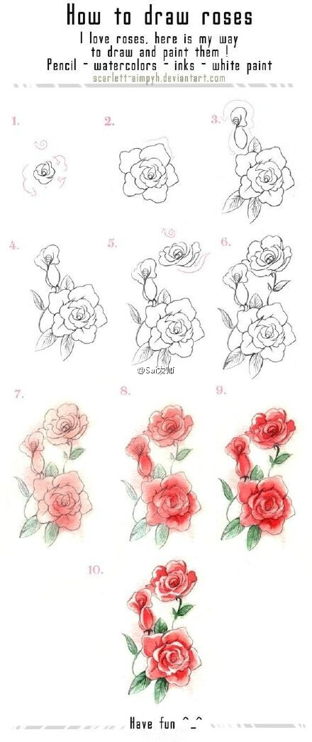 #绘画学习##素材推荐# 玫瑰，牡丹，以及各种花卉绘制设计过程参考！喜欢花花的童鞋一定不要错过！收藏练习~ Cr： @Sai大师