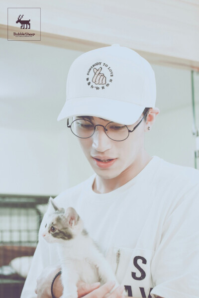 这是那只被你领养取名叫“洲洲”的喵吧(^_^)
cr. @BubbleSheep_许魏洲图博