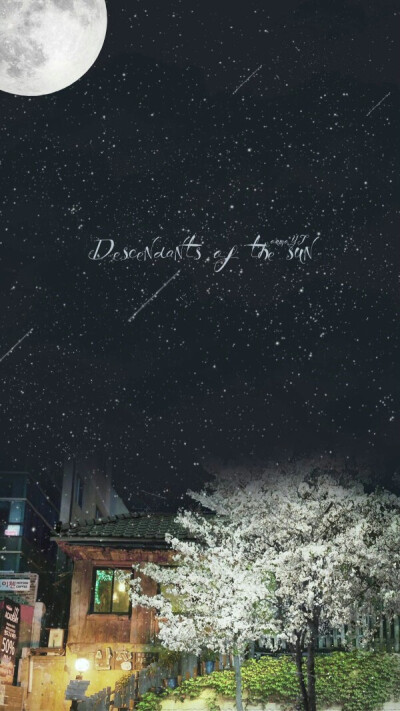 Descendents of the sun