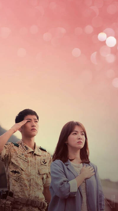 Descendents of the sun