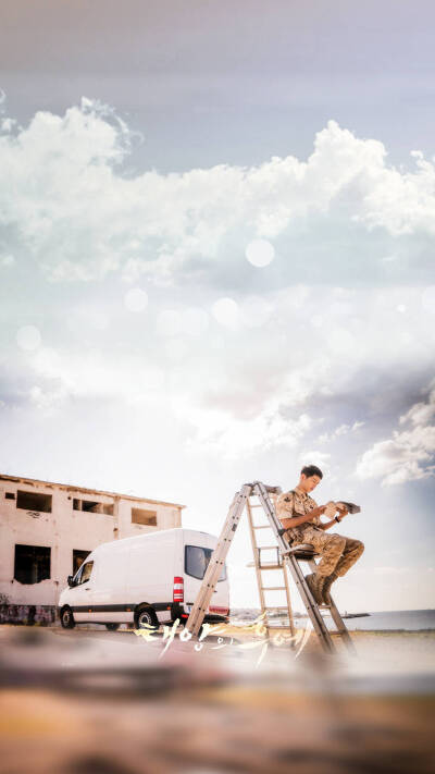 Descendents of the sun