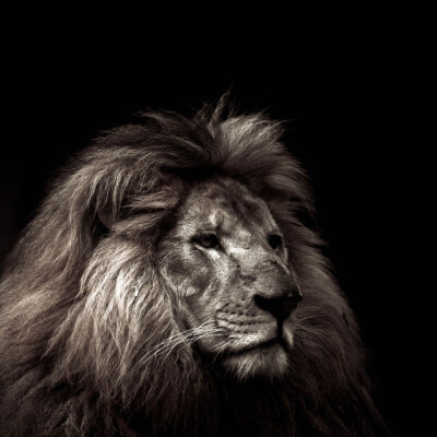 错过的都是风景