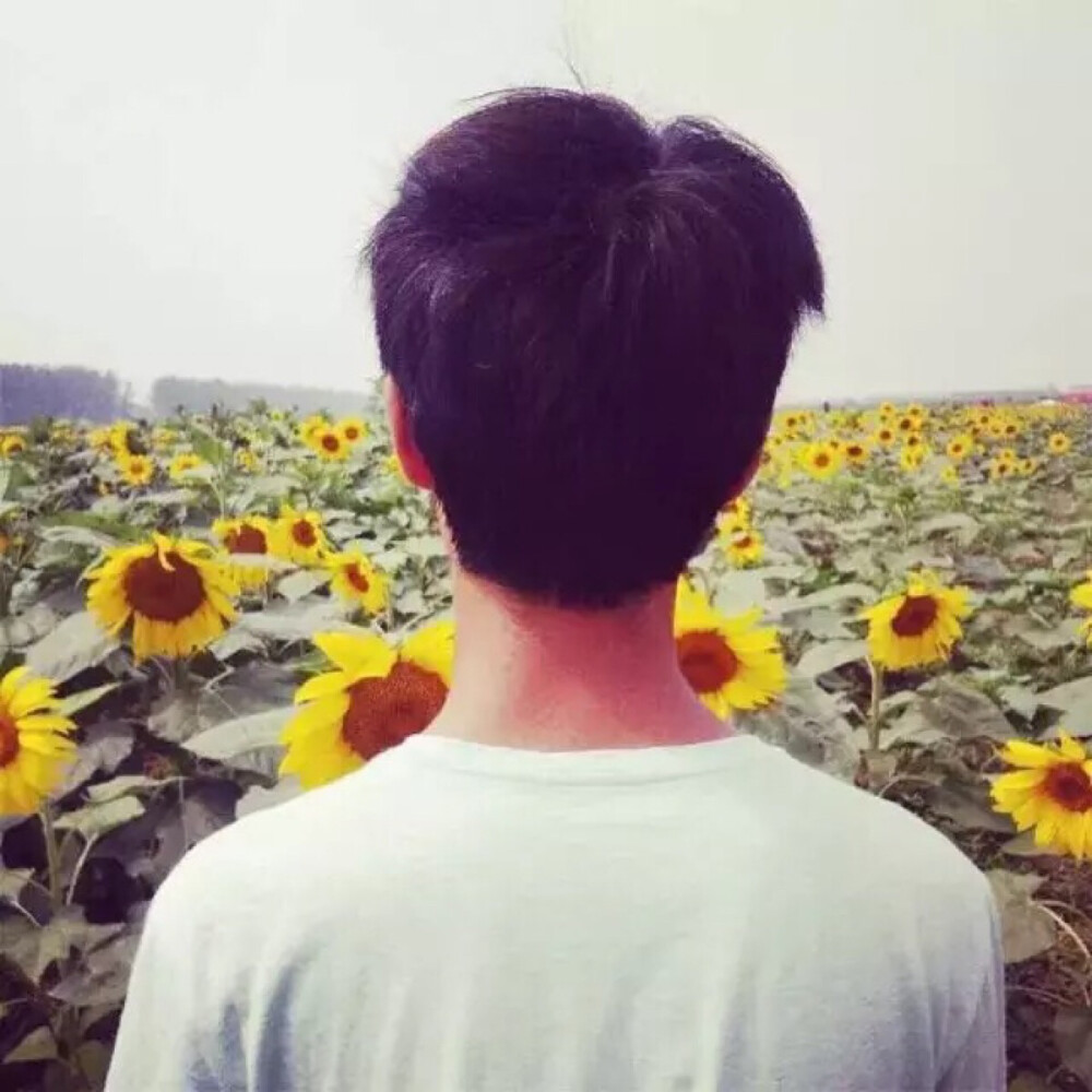 男生向日葵头像图片