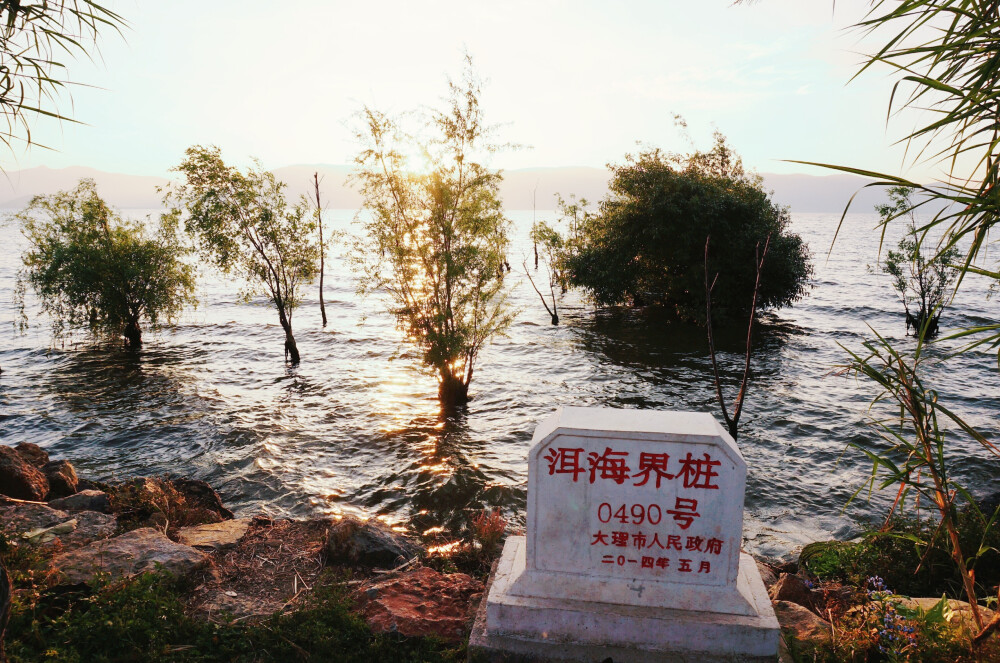 洱海界桩，0490号。