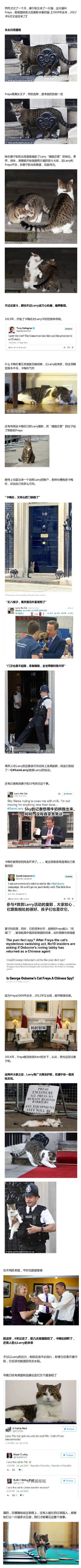 英国脱欧那天，有一只猫很抢镜，它叫Larry, 英国内阁捕鼠总管，公务员，职业生涯堪比宫斗大戏