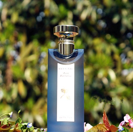 名称：au The Bleu （新蓝茶古龙香水）
品牌：Bvlgari（宝格丽）
前调：薰衣草 紫苏
中调：茶叶
后调：鸢尾花 麝香