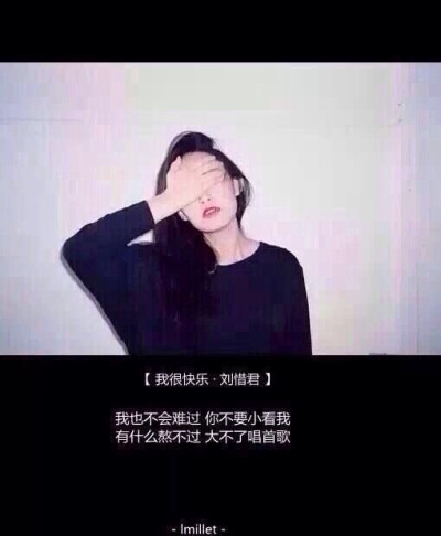 因为歌词爱上一首歌 