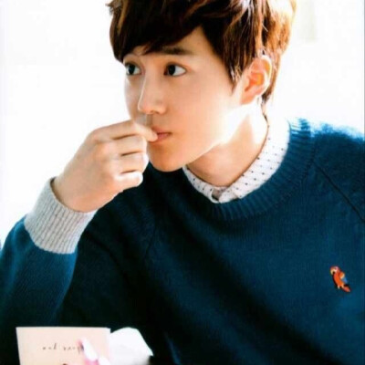 普。EXO，SUHO