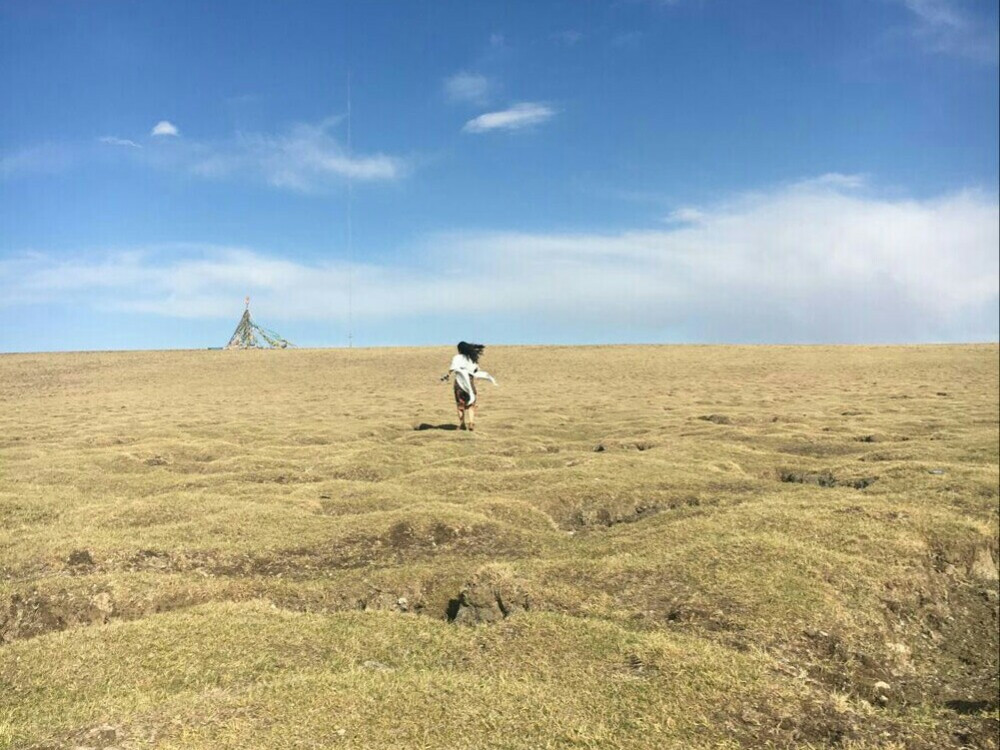 荒野奔跑