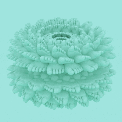 一言不合就给你看头皮发麻的小动图！