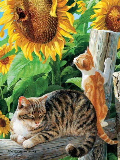 萌萌的猫插画 Persis Clayton Weirs