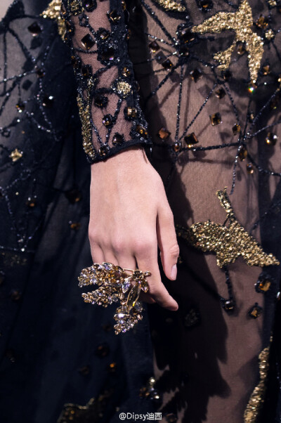 Elie Saab Haute Couture F/W 2016 Detail┃高级定制的价值正是在这些细节手工艺上体现～