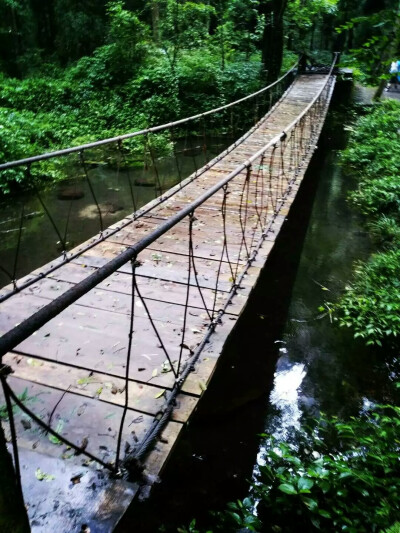 吊桥 可惜当时下着雨 不能走