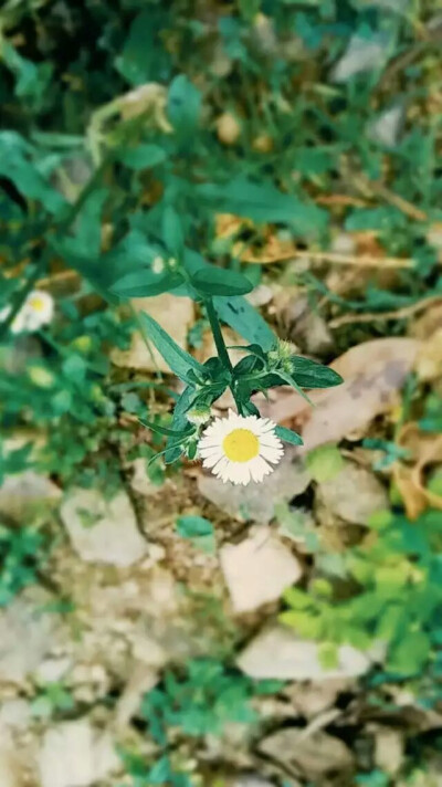  时间抵不过你我