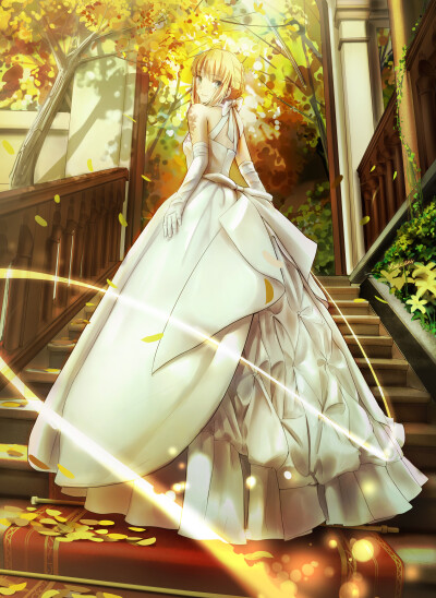 saber bride fate(转自zerochan)