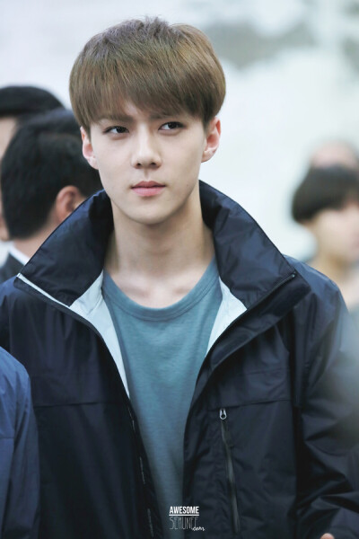 EXO SEHUN 吴世勋 cr:logo