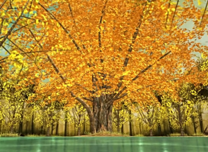 银杏树王   叶罗丽精灵梦